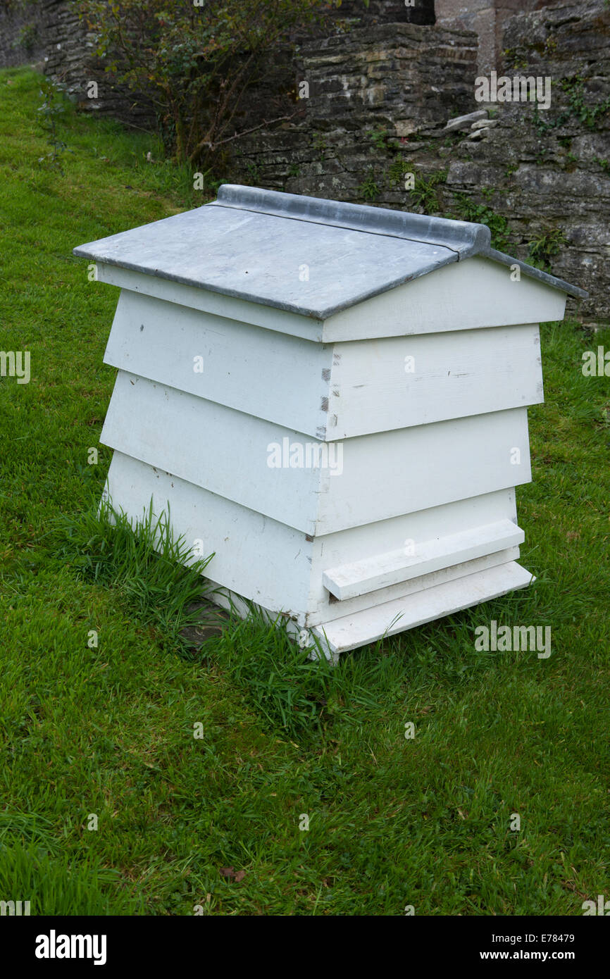 Wooden Bee Hive  WBC  - traditional shape - white painted, in a garden in Devon. Stock Photo