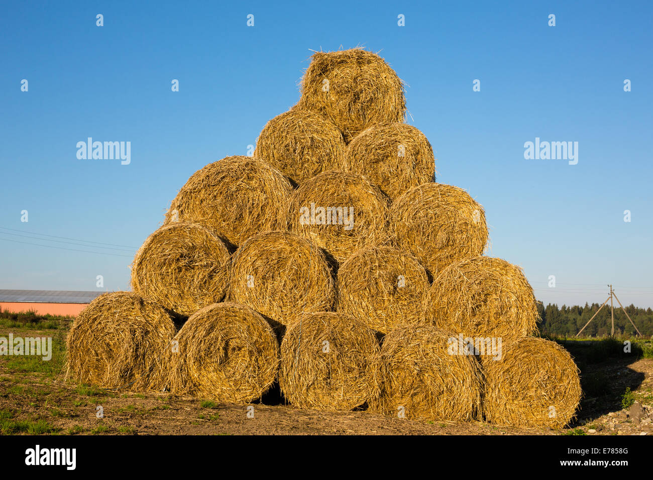 Rolls of hay neatly stacked on blue sky background Stock Photo - Alamy
