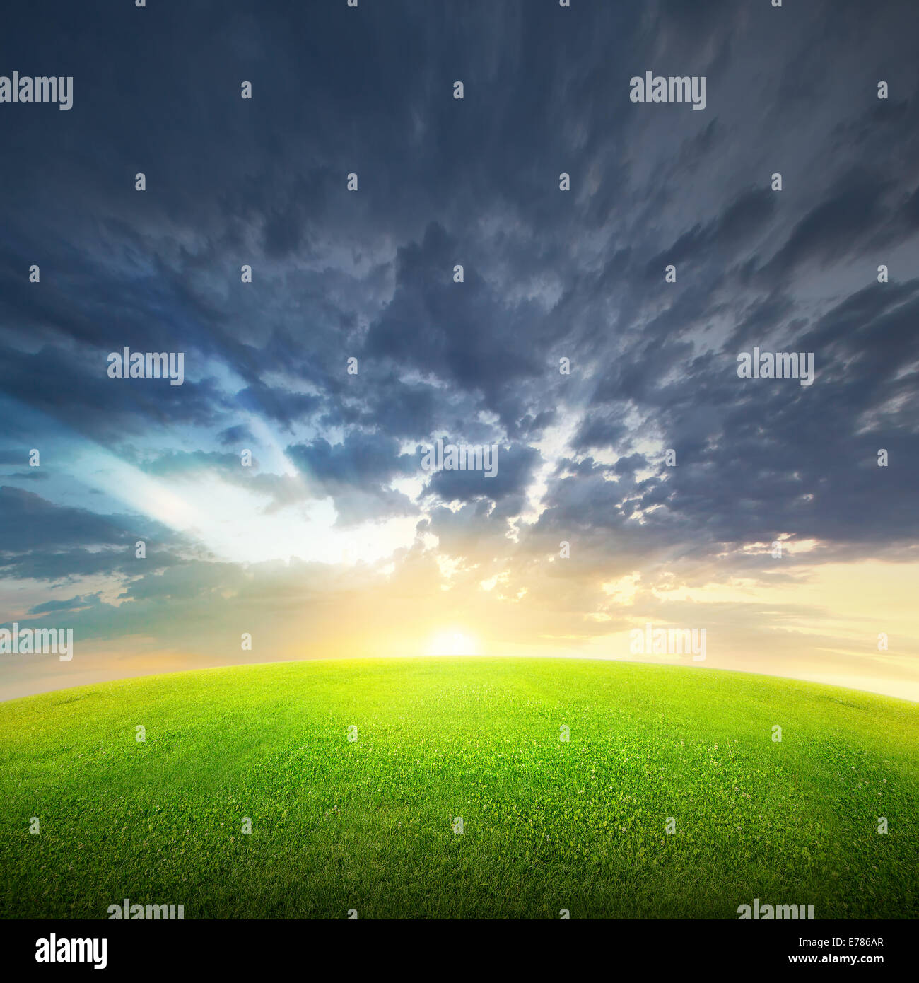 Field of green grass and beauttiful sky at sunset or sunrise Stock ...