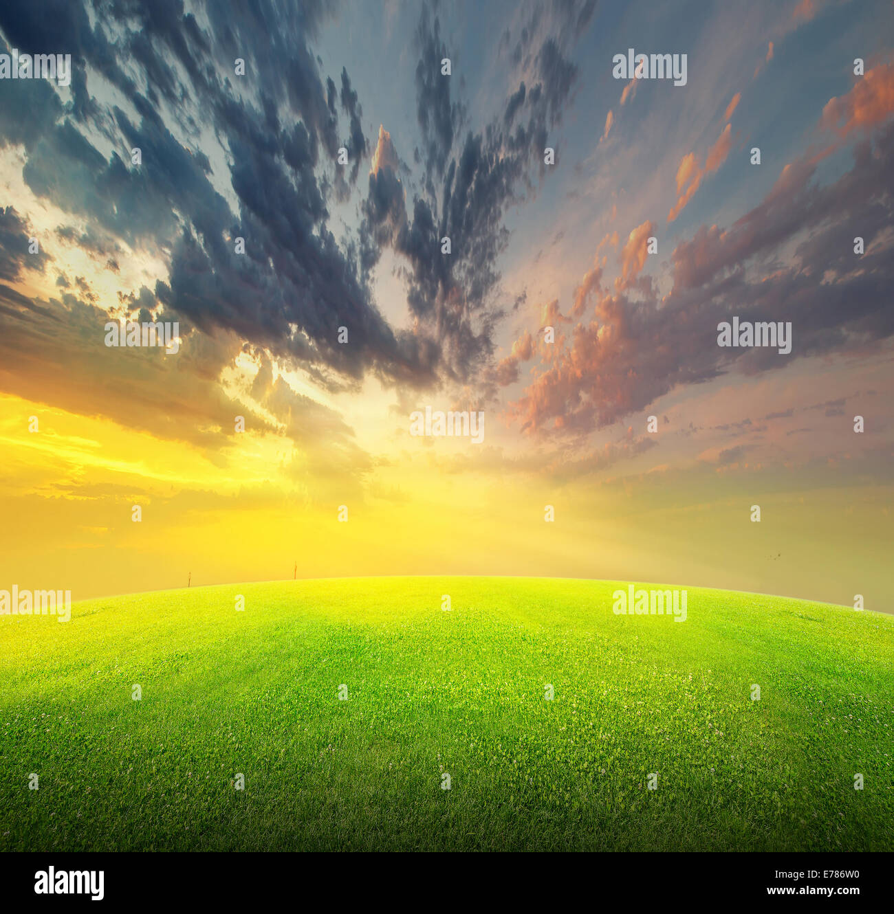 Field of green grass and beauttiful sky at sunset or sunrise Stock ...