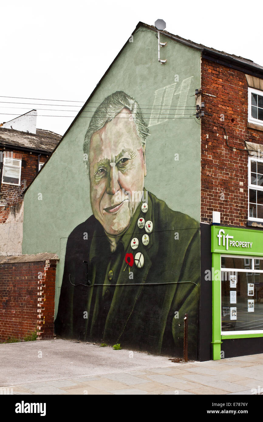 David Attenborough Mural by artist Rocket01 and Faunagraphic in Sheffield UK Stock Photo
