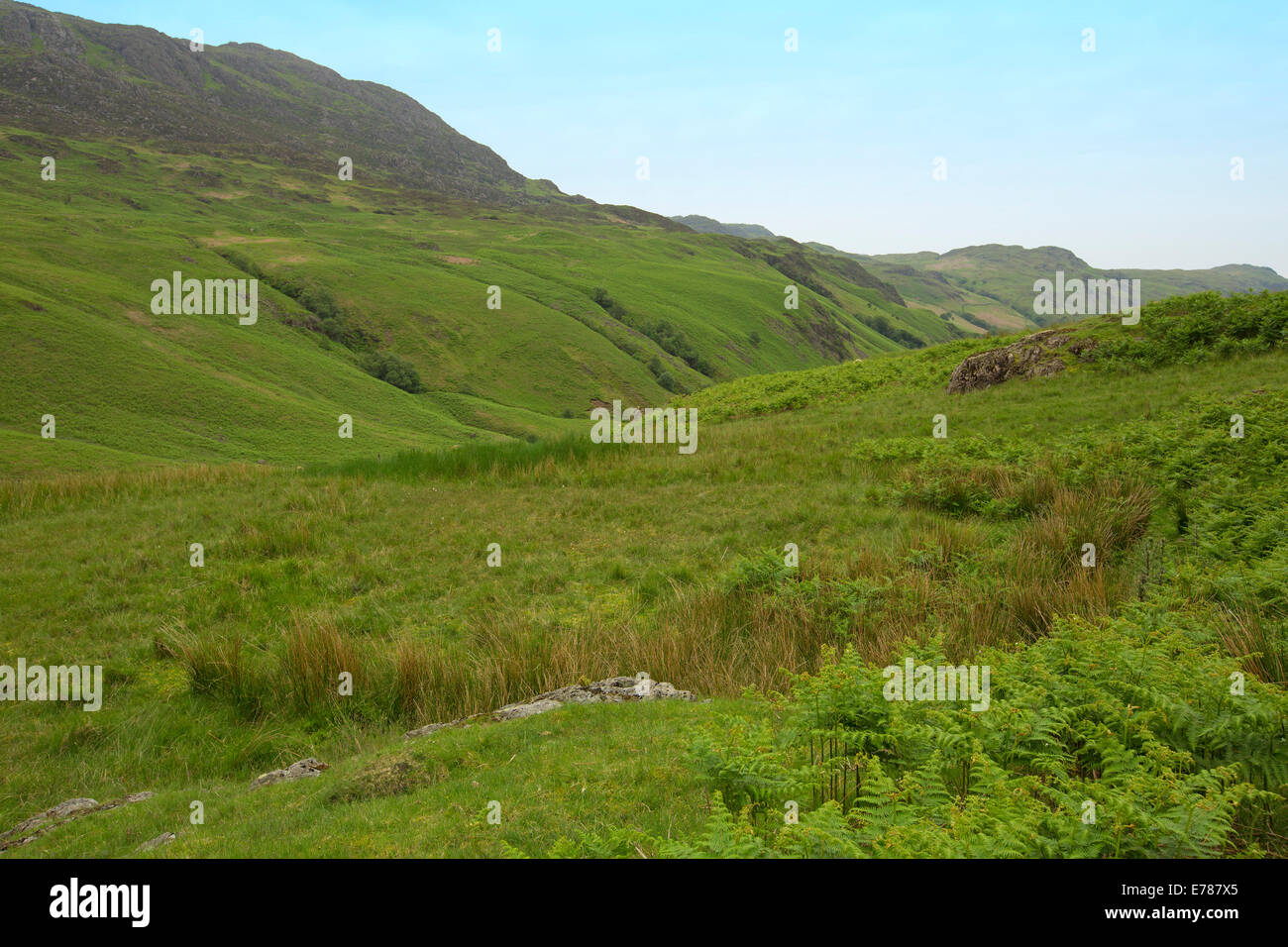 Vast landscape of emerald cloaked treeless hills and valleys under blue sky at Hardknott Pass, Cumbria, England Stock Photo