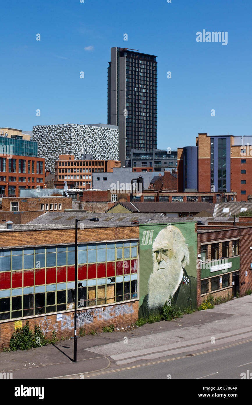 View of Sheffield and Charles Darwin mural by Rocket01 and Faunagraphic on abandoned building in Sheffield Stock Photo