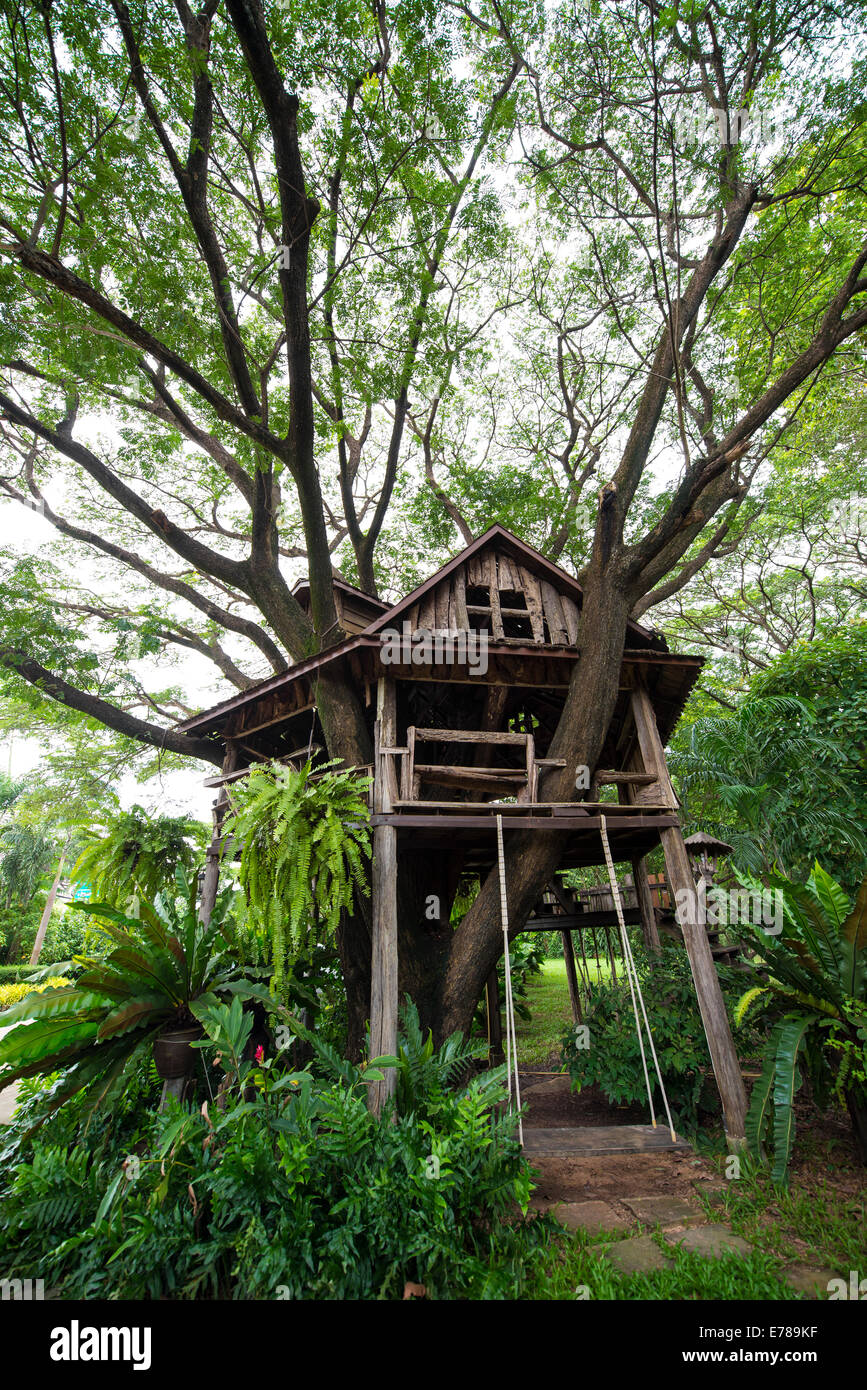 Beautiful tree house Stock Photo