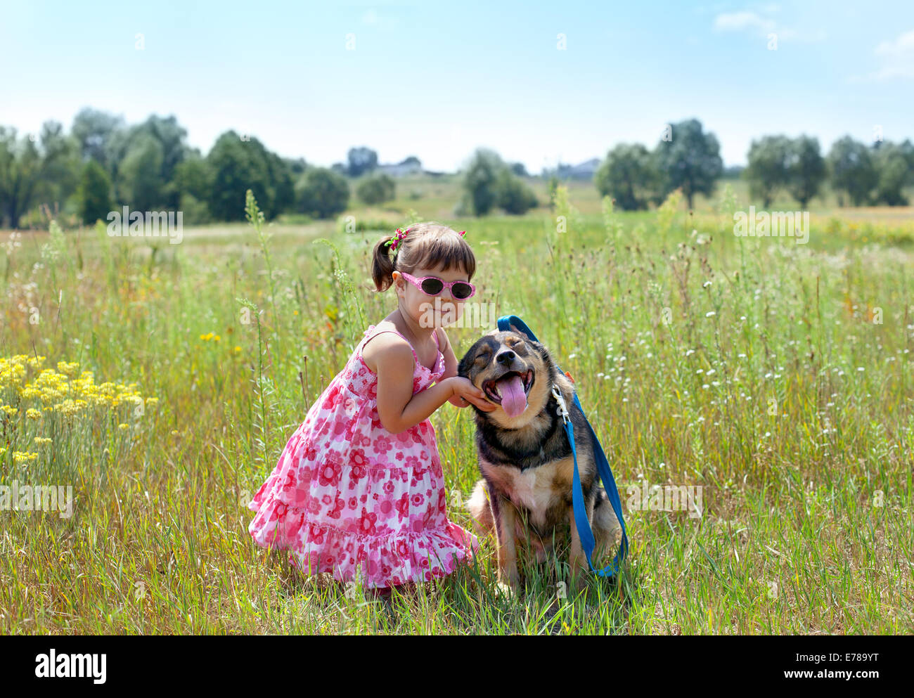 Little girl playing with dog at the meadow Stock Photo - Alamy
