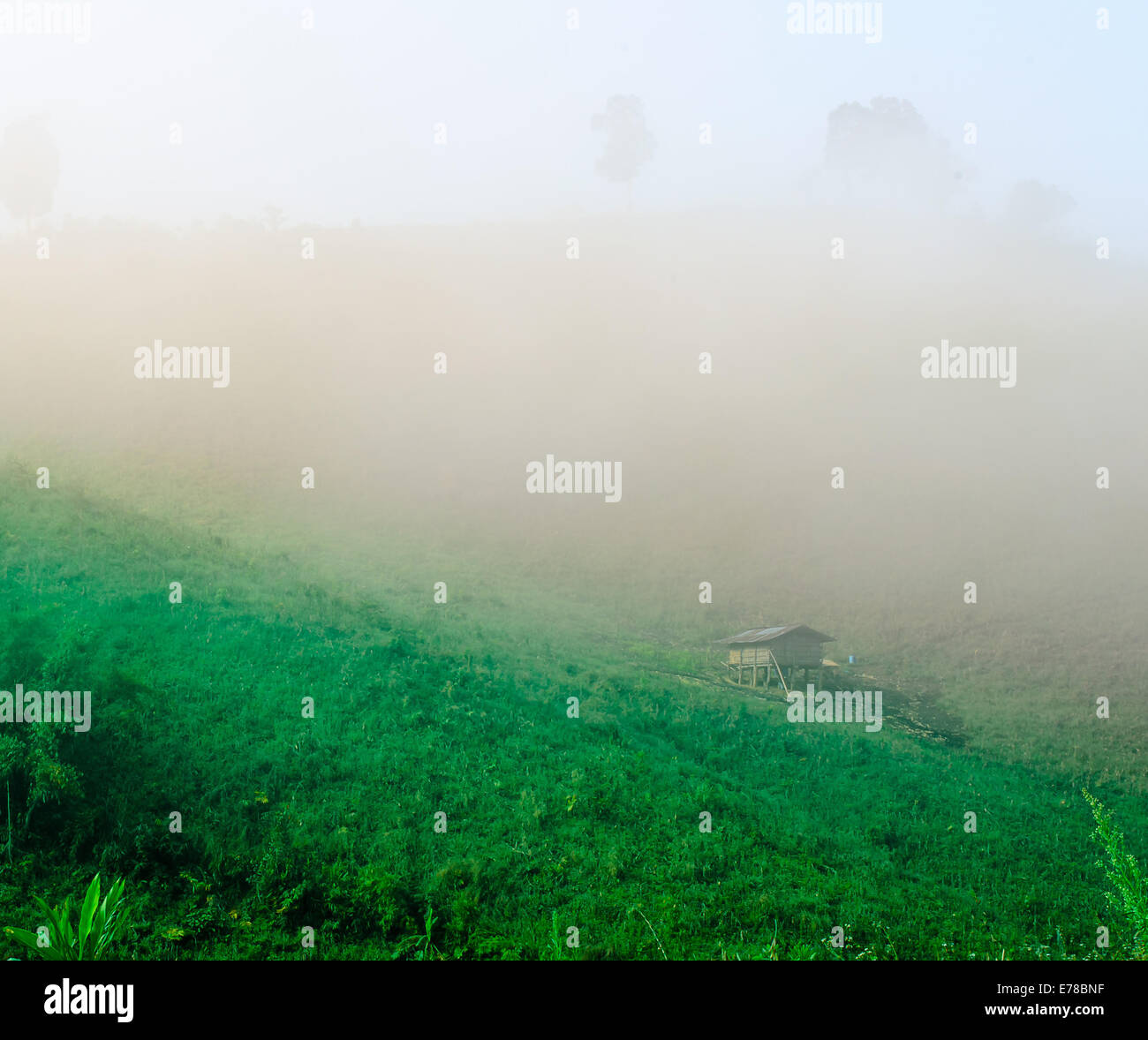 The Cottage is in the Mist on Hill. Stock Photo