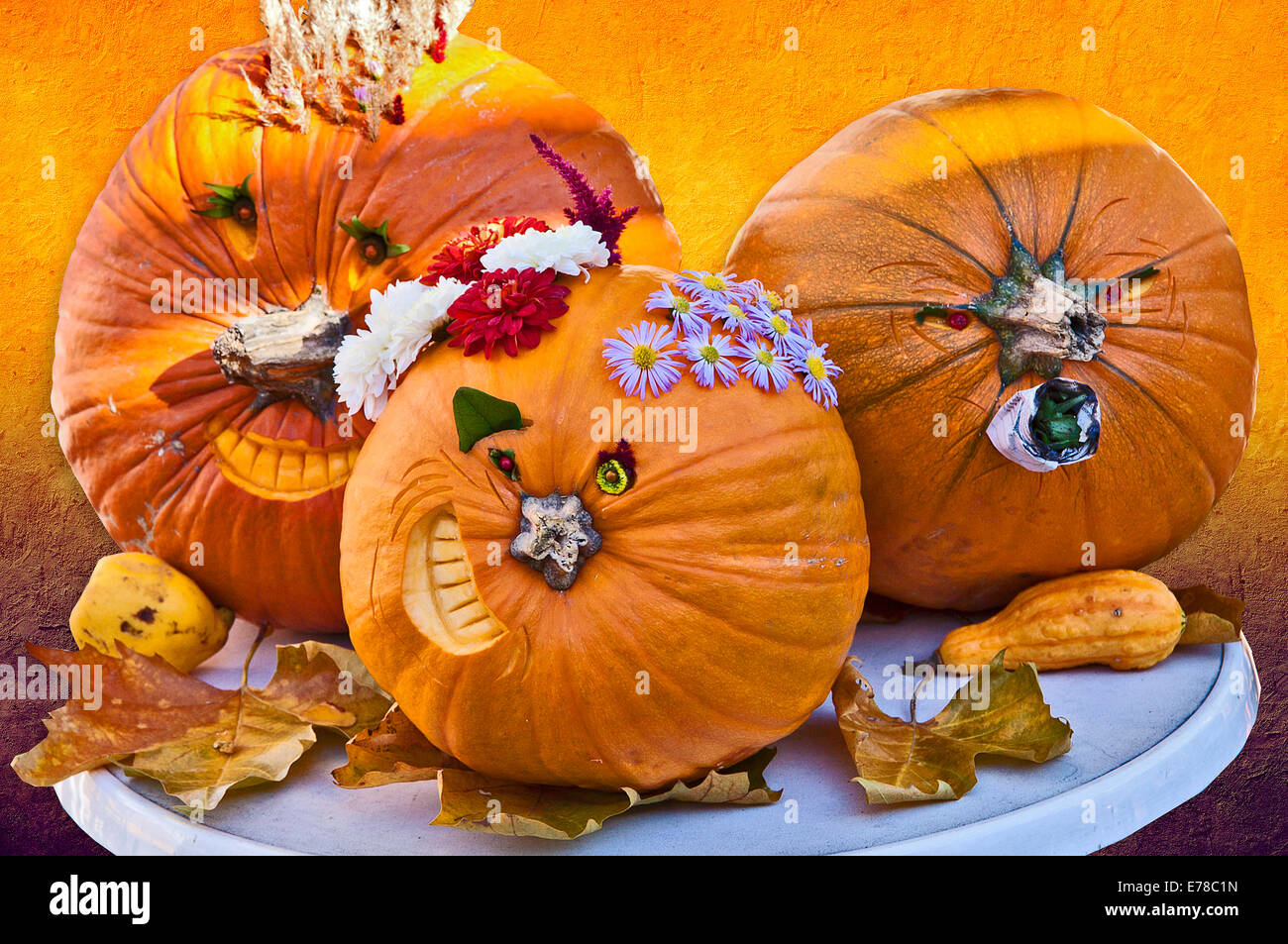 Funny and creative Halloween pumpkins Stock Photo