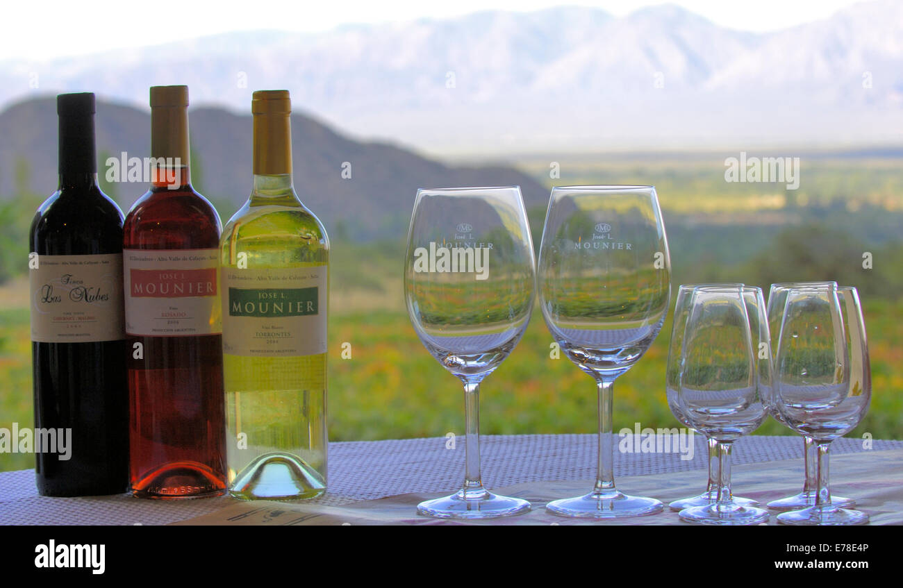Wine from the Jose L Mounier Vineyard in the Cafayate Valley, Salta Province, Argentina Stock Photo
