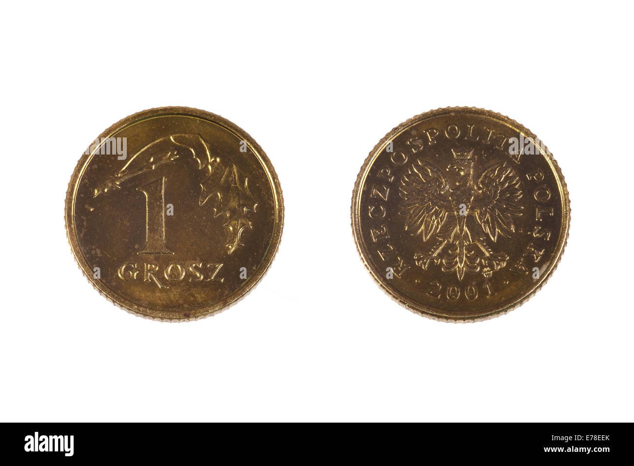 Polish coin denominations one grosz. Obsolete hundredth of zloty. Macro closeup of both sides isolated on white background Stock Photo