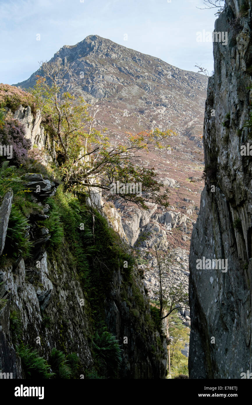 View of Pen Yr Ole Wen seen from path through narrow gap 'Tin Can Alley' rock gorge from Ogwen Valley in Snowdonia Wales UK Britain Stock Photo