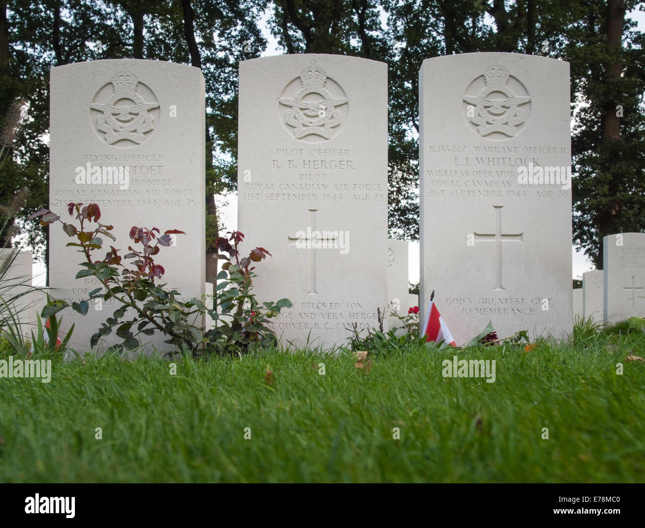 three closely placed grave stones of a pilot and crew of the royal canadian airforce at the allied war cemetery oosterbeek Stock Photo