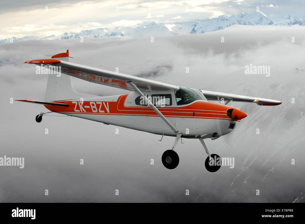 cessna 180 for sale nz