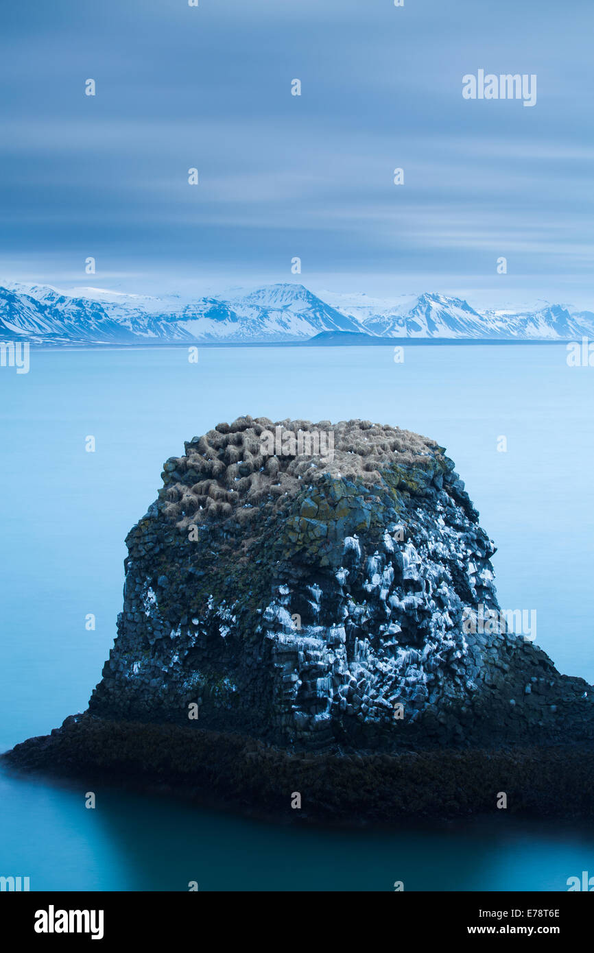 a sea stack streaked with the guano of fulmars and kittiwakes on the coast nr Arnastapi, Snaefellsnes Peninsula western Iceland Stock Photo