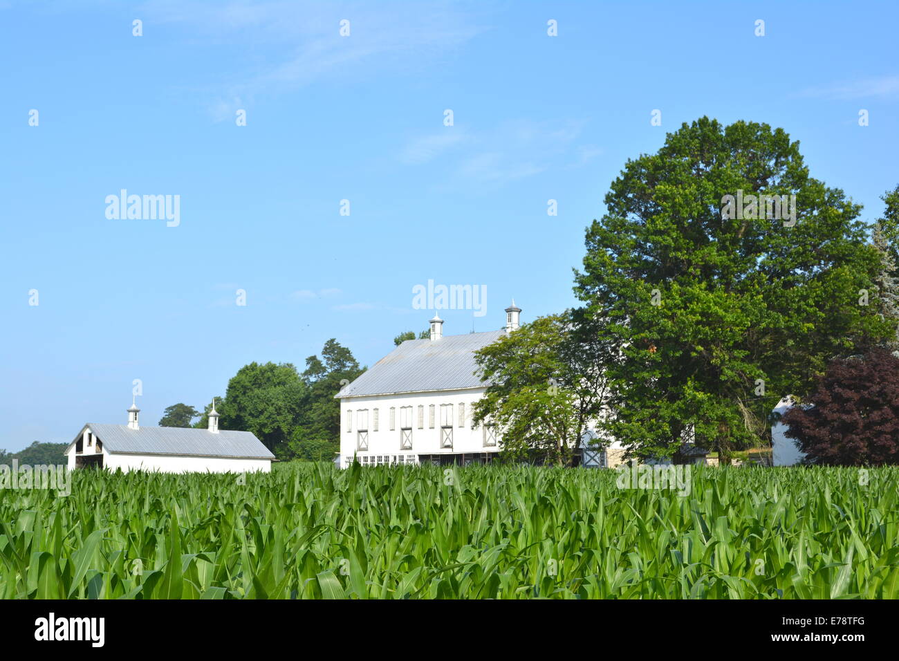 CulbertsonHarbison Farm listed on the NRHP on June 27, 1980 (80003499