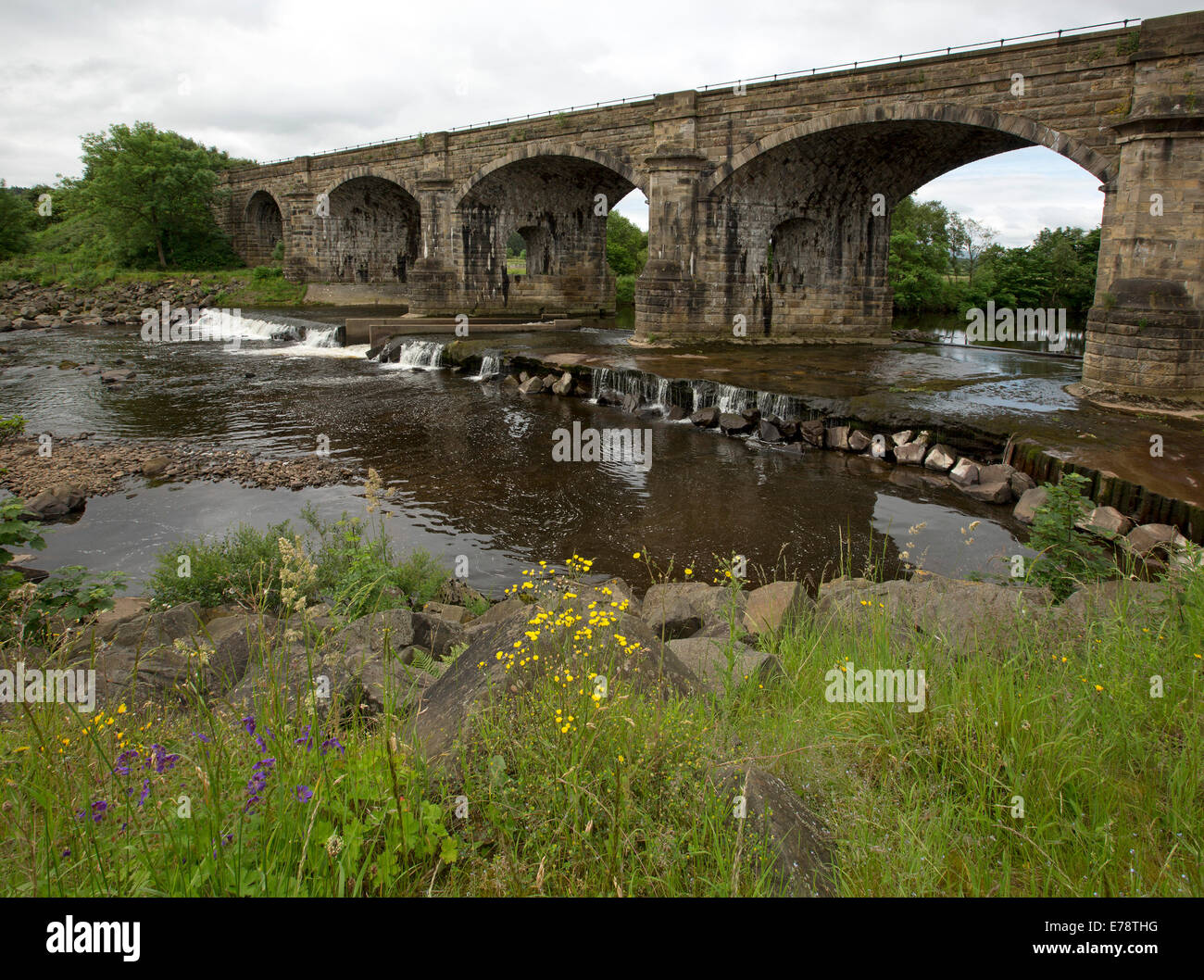 Historic railway bridge, Alston Arches viaduct over South Tyne River with low weir and wildflowers near English village of Haltwhistle Stock Photo