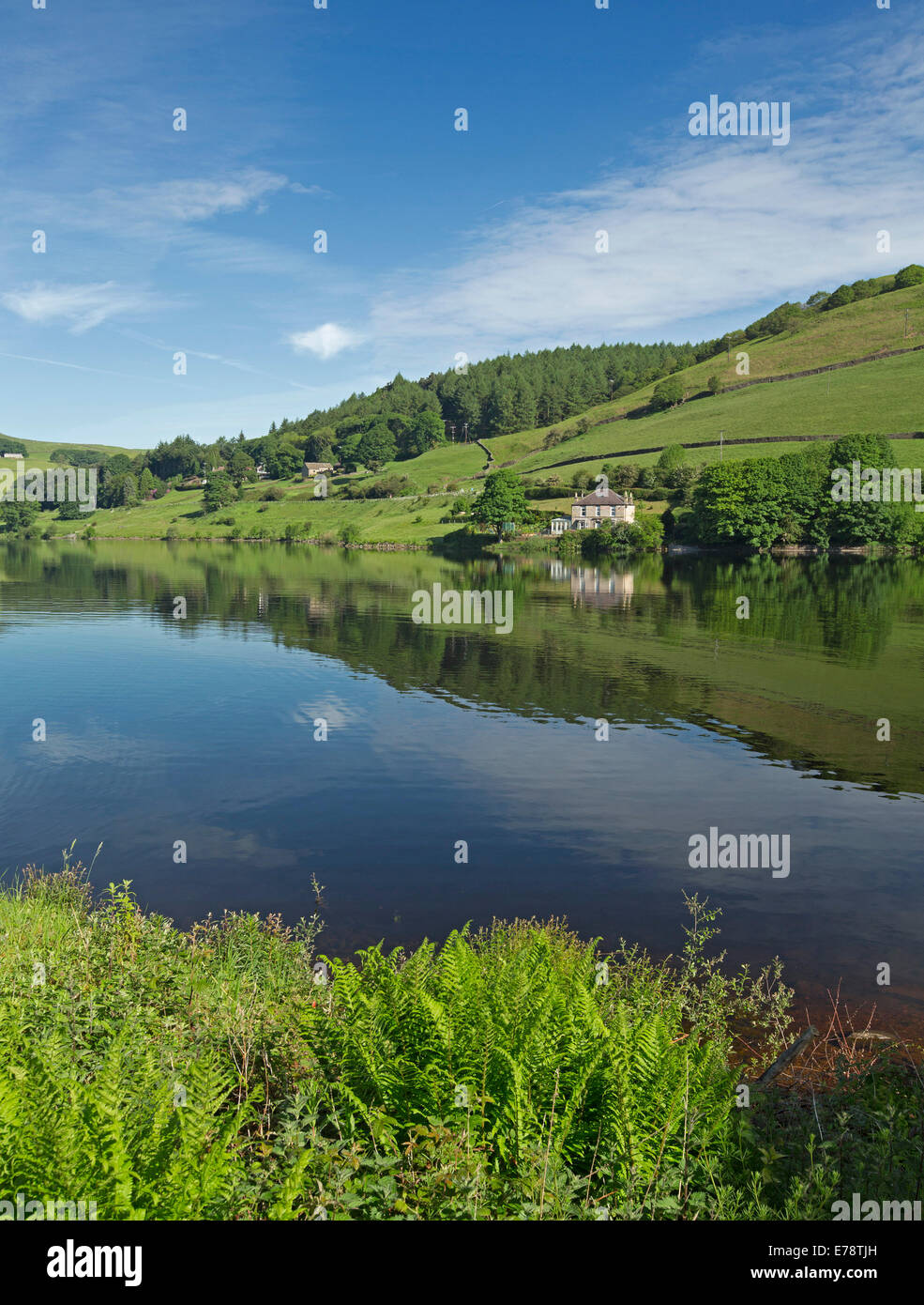 Ladybower Lake reservoir on Ashop River with blue sky reflected in calm water bordered by woodlands & fields of wildflowers, Derwent Valley,  England Stock Photo
