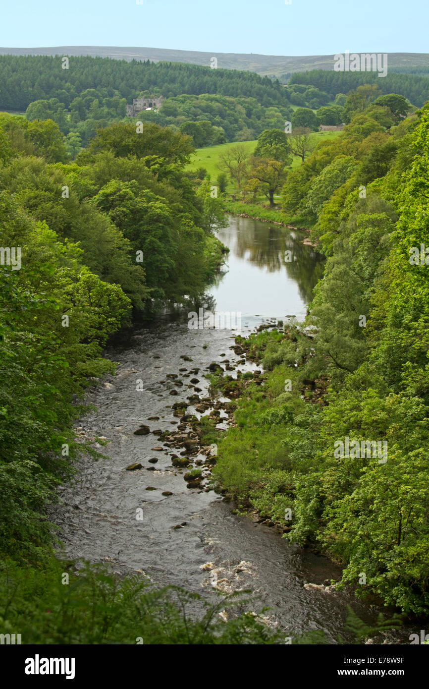 View from high vantage point of English rural landscape and River Wharfe slicing through Strid Woods on vast Bolton Abbey estate Stock Photo