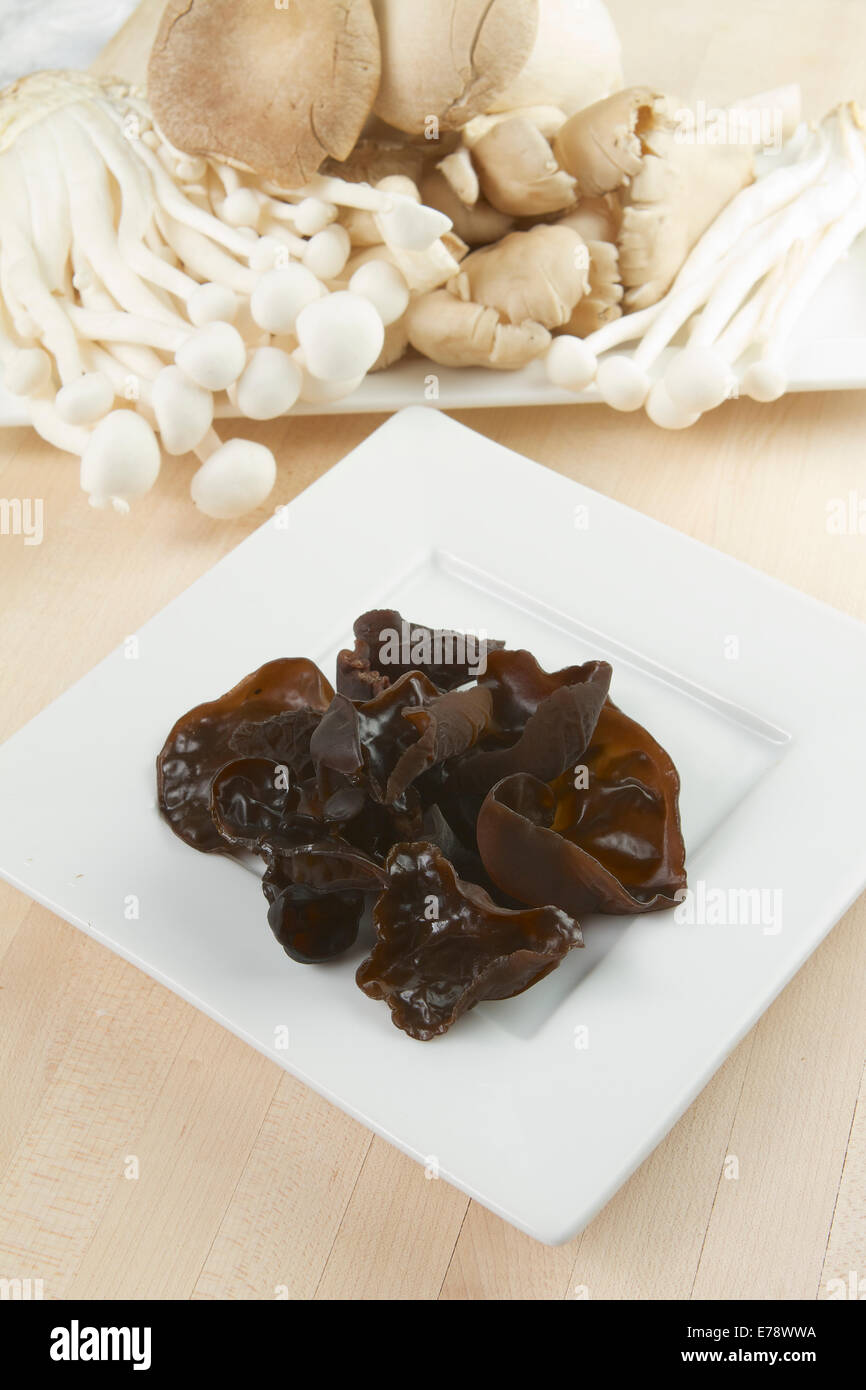 black wood ear mushrooms Auricularia Polytricha Stock Photo Alamy