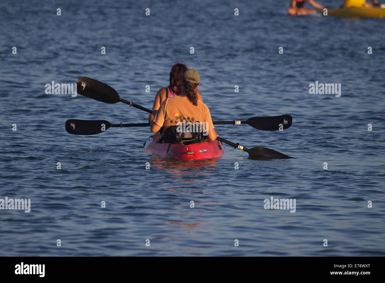 2 kayakers in a double canoe on the sea Stock Photo Alamy