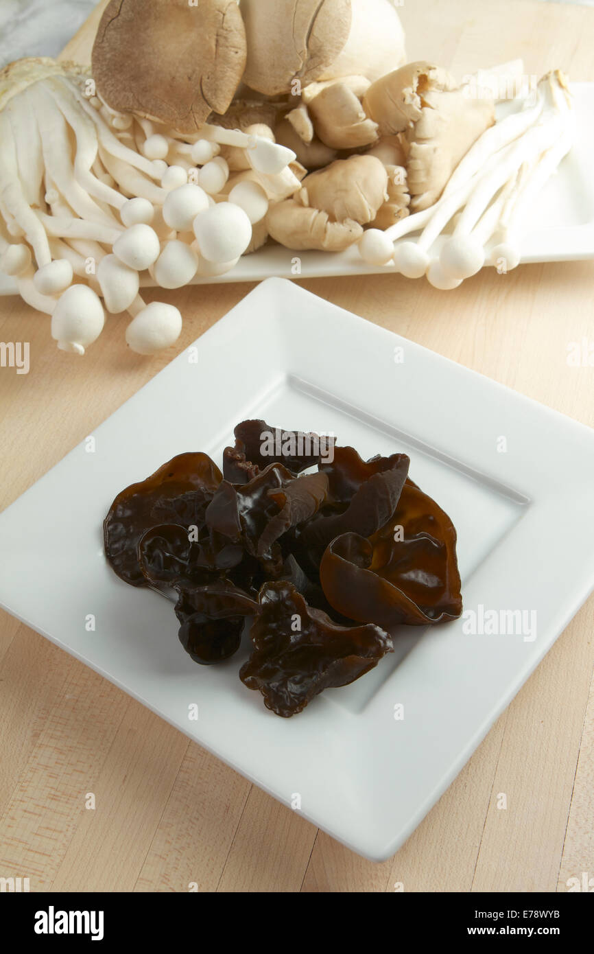 black wood ear mushrooms Auricularia Polytricha Stock Photo Alamy