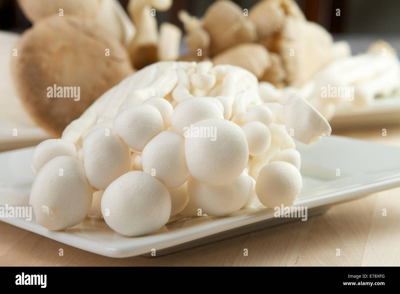 Seafood mushrooms hi-res stock photography and images - Alamy