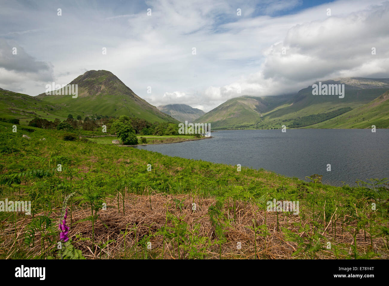 Wastwater lake surrounded by mountain peaks coated with green vegetation, draped with low cloud, Lake District, Cumbria, England Stock Photo