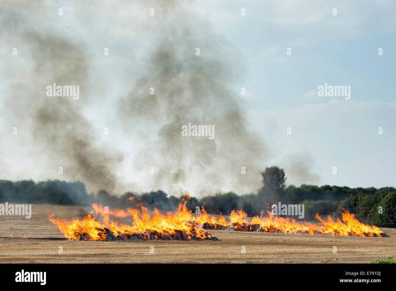 Burning Straw in a farmers field. Oxfordshire, England Stock Photo