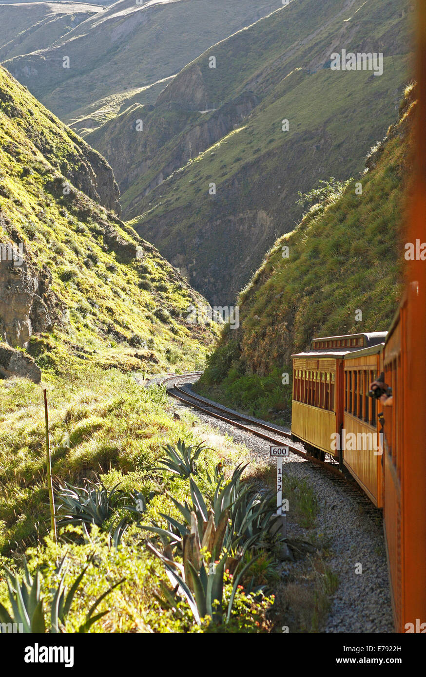 Andean railway Nariz del Diablo, Ferrocarriles del Ecuador, Chimborazo Province, Ecuador Stock Photo