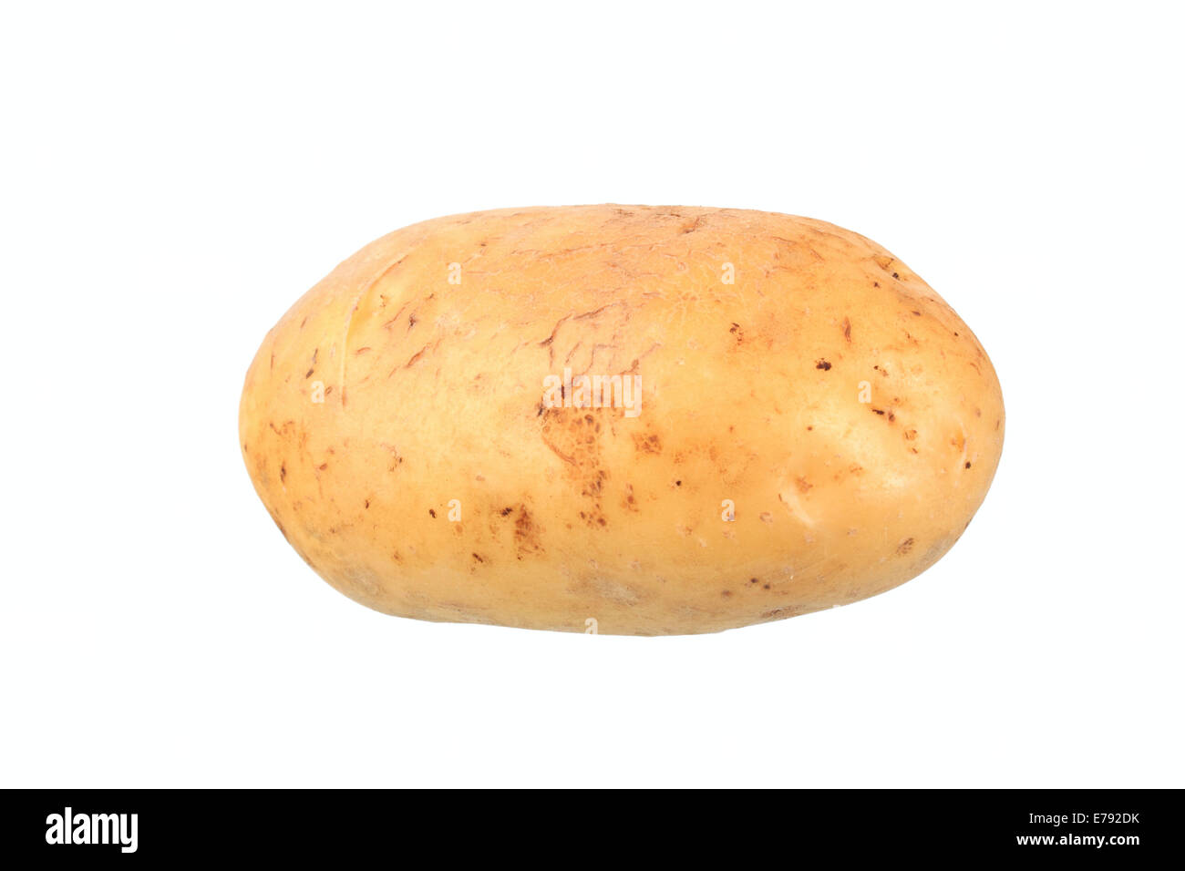Potato, Talent variety Stock Photo