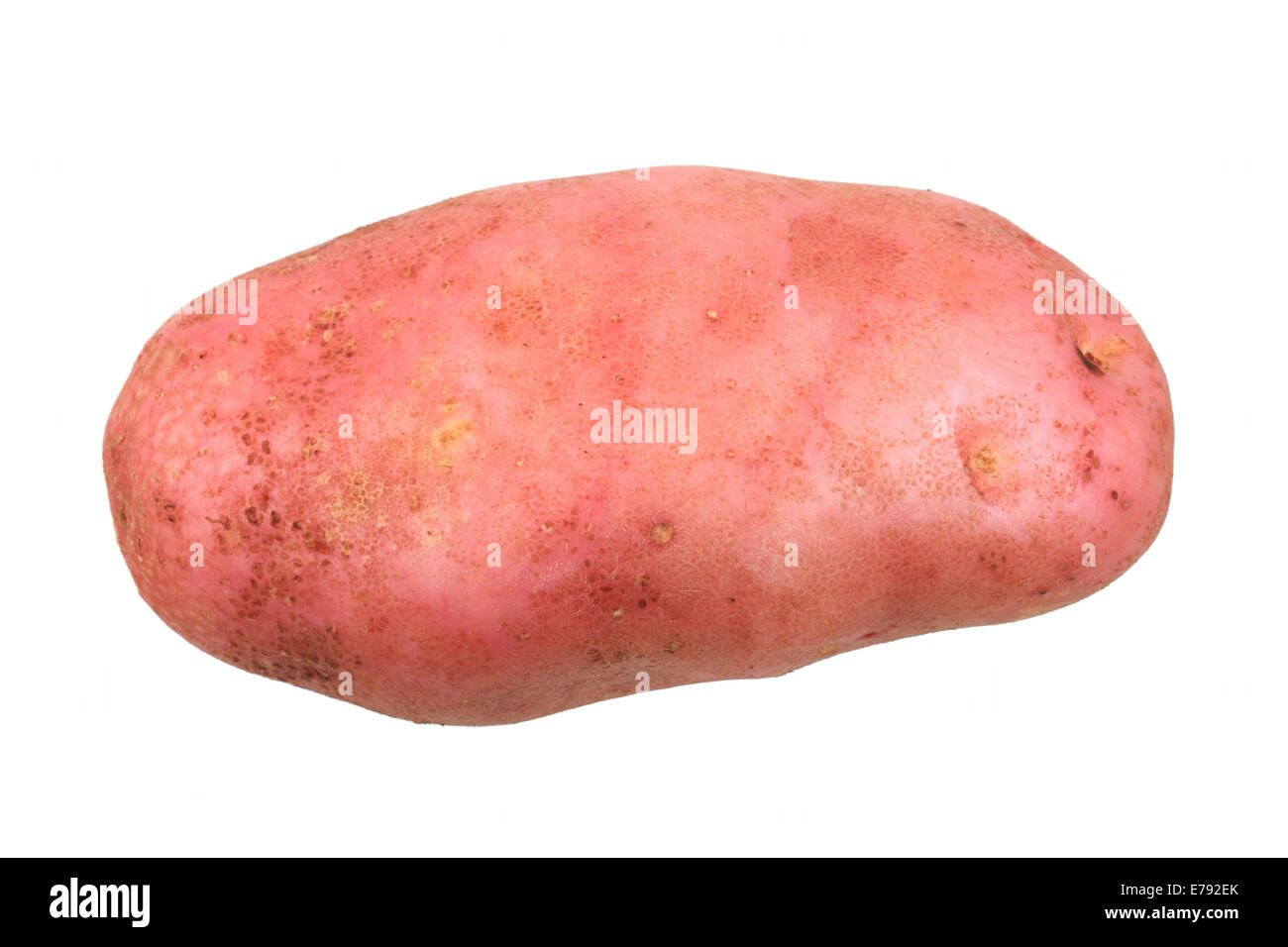 Potato, Reichskanzler variety Stock Photo