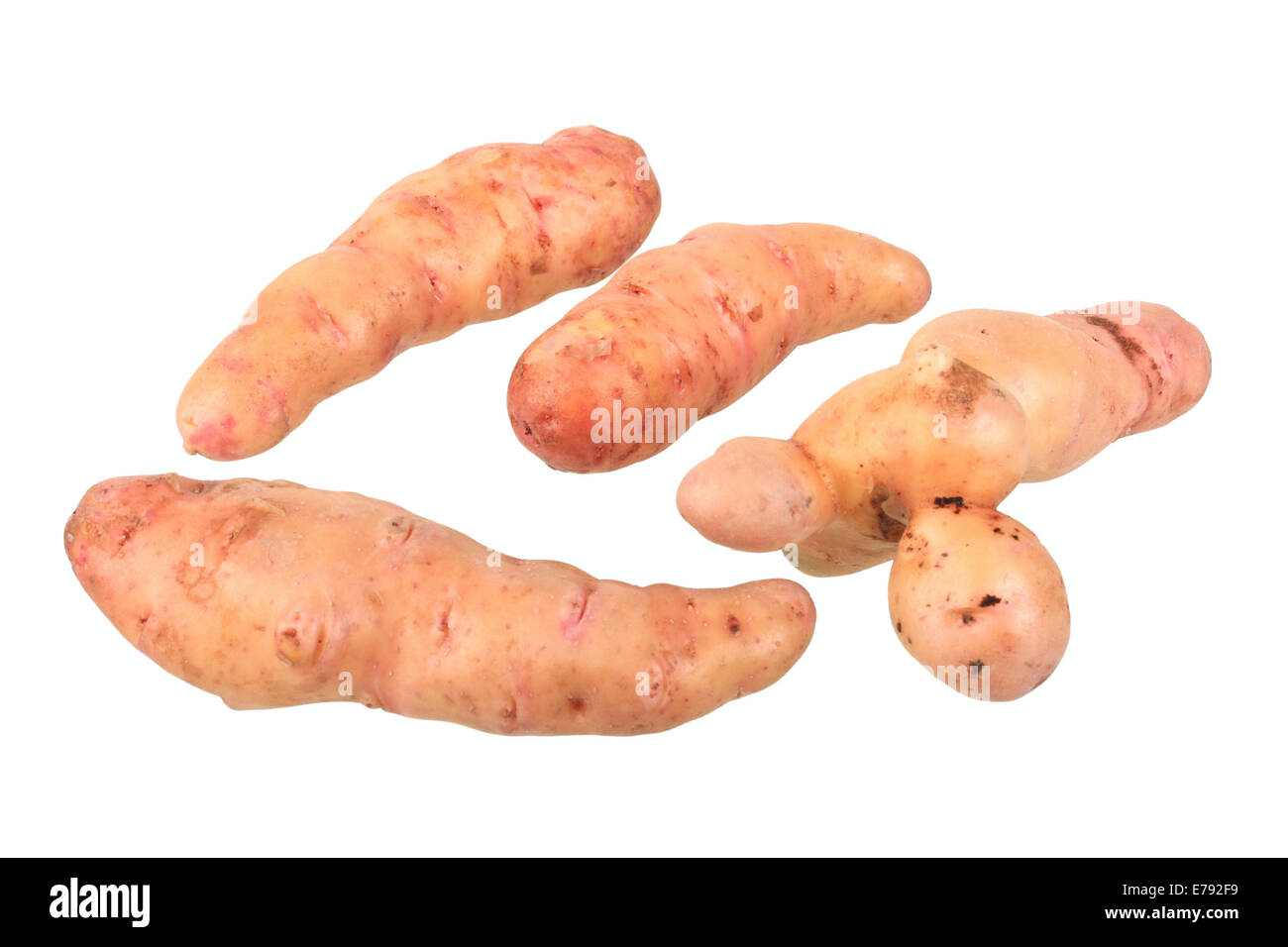Potatoes, Pink Fire Apple variety Stock Photo