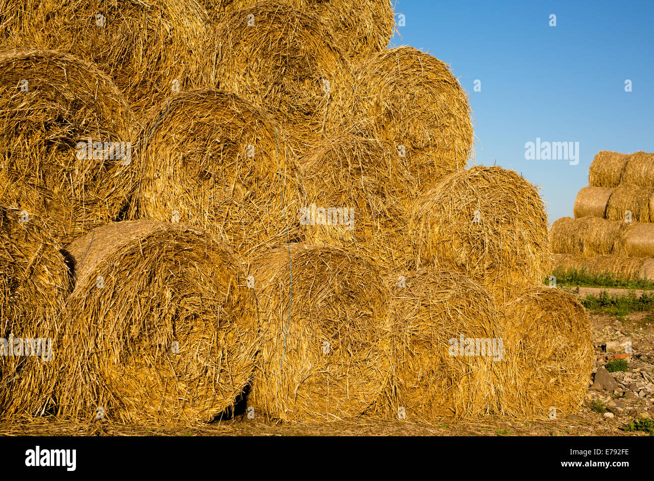 Rolls of hay Stock Photo Alamy