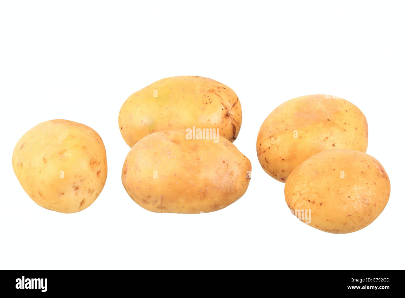 Potatoes, Jelly variety Stock Photo - Alamy