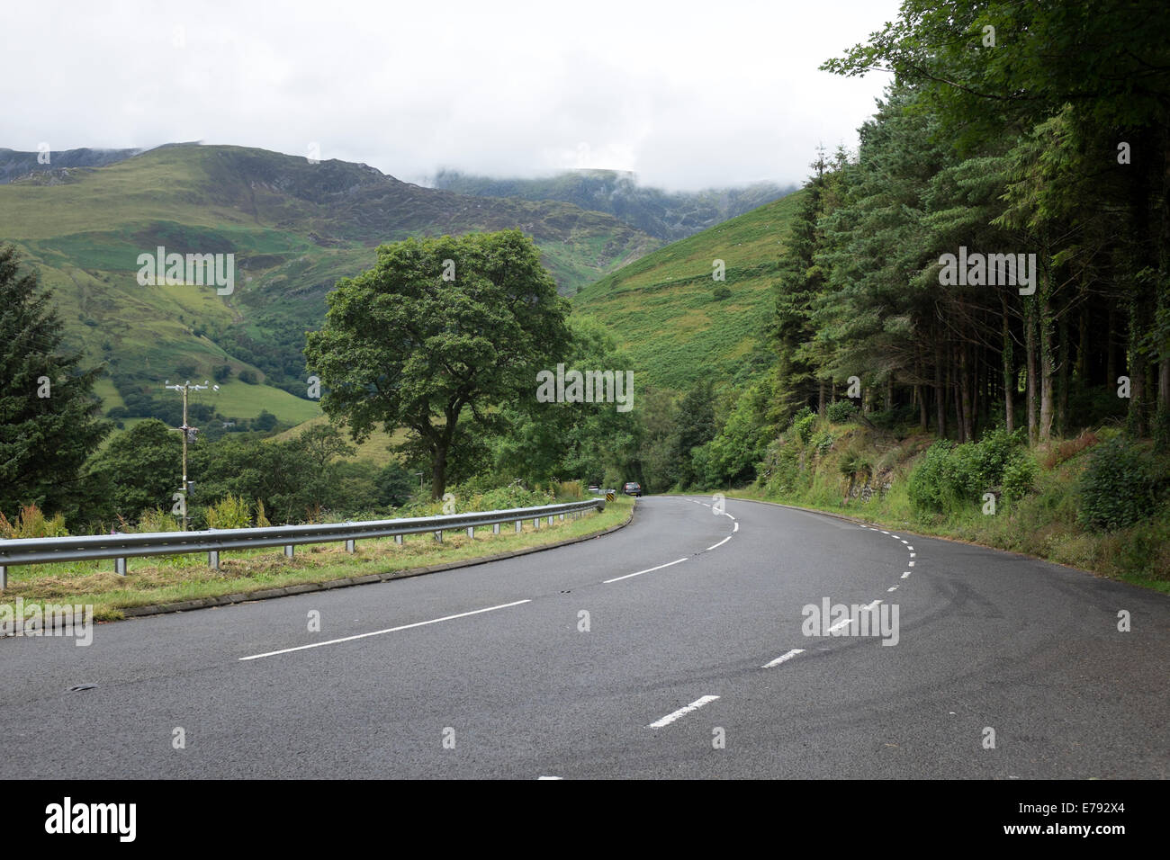 Empty Country Road Bend Curve Green Luscious Stock Photo