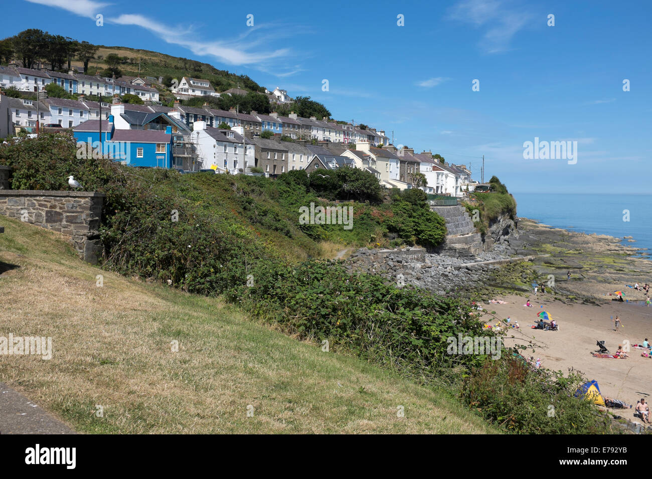 New Quay Wales Summer Time Busy Blue Sky Hot Holiday Stock Photo