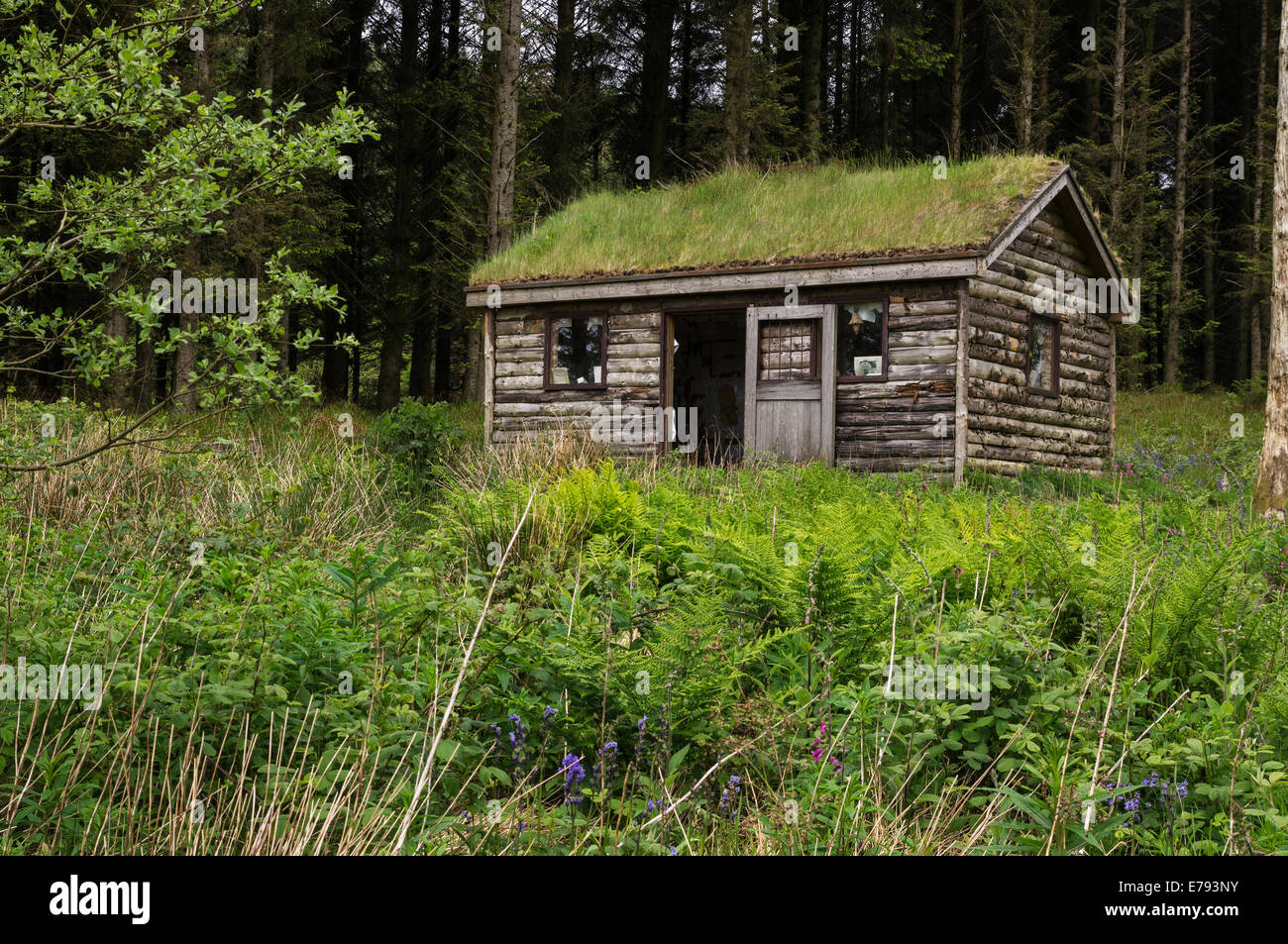 Eas Mor Isle of Arran. Grass roofed hut known as 
