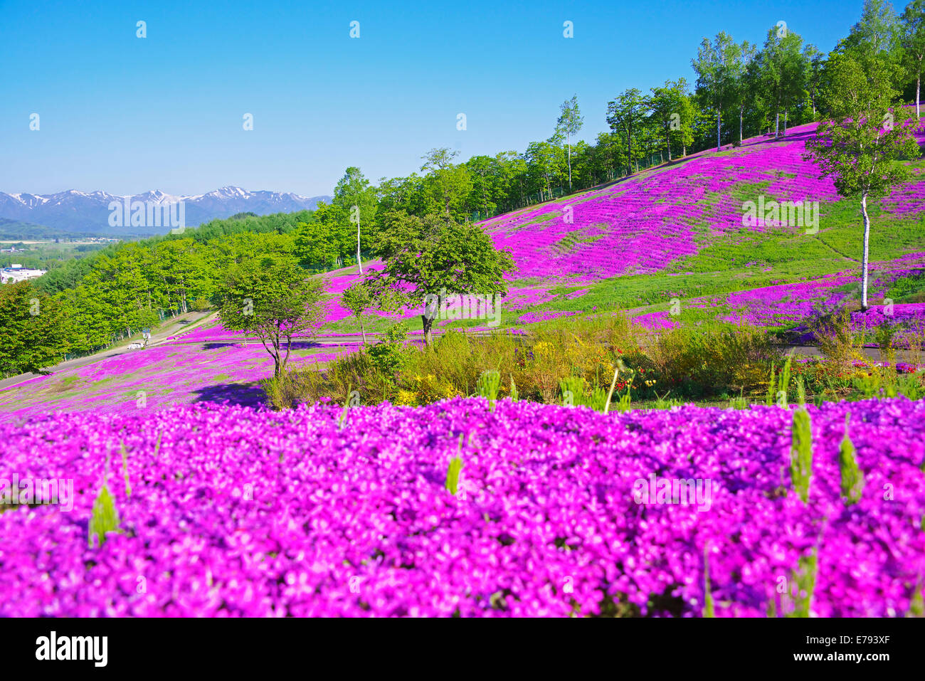 Takinoue Park Japan High Resolution Stock Photography And Images Alamy Takinoue Park Japan High Resolution Stock Photography And Images Alamy