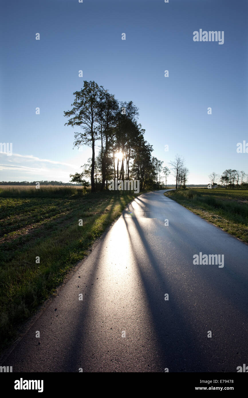 Road in the countryside Stock Photo