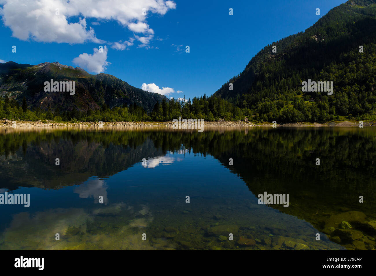 Beautiful clear lake with trees hi-res stock photography and images - Alamy