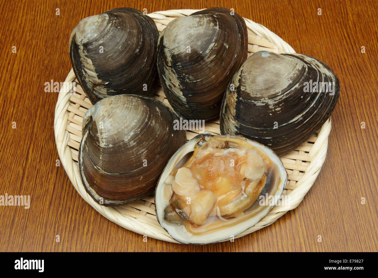 Sakhalin Surf Clams Stock Photo Alamy