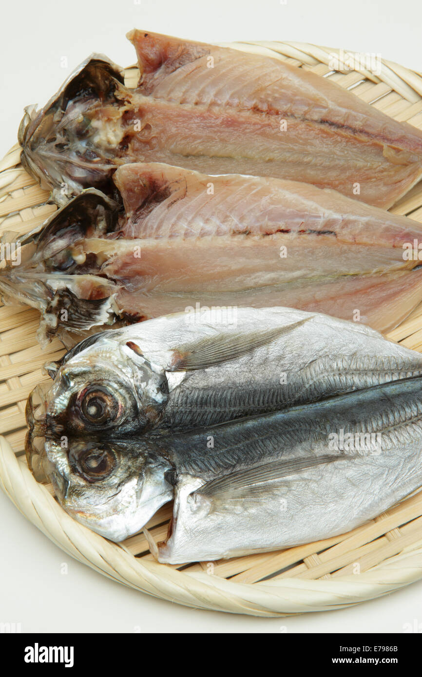Horse eye mackerel hires stock photography and images Alamy