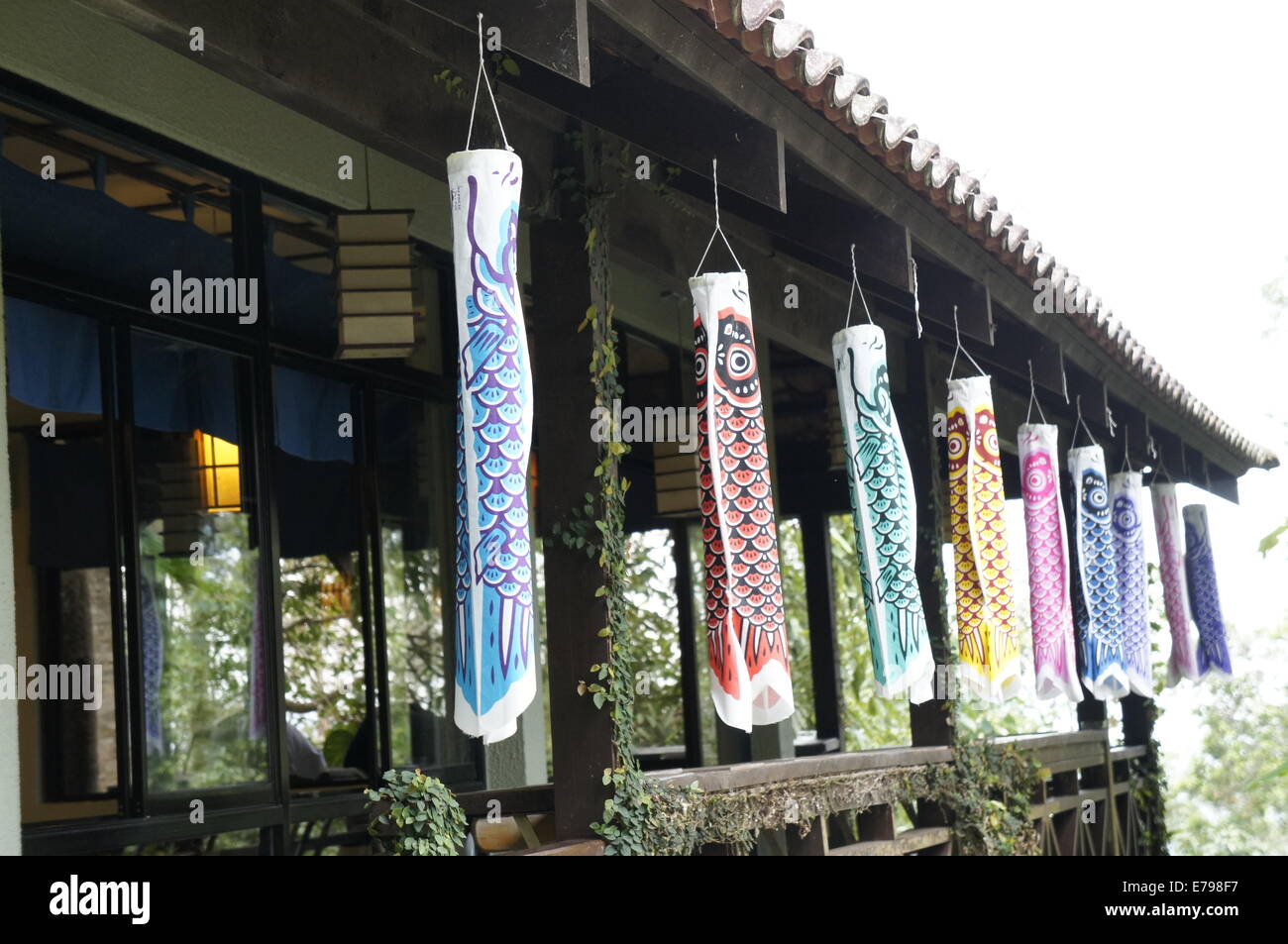 Koinobori; Japanese carp windsocks, streamers or banners Stock Photo