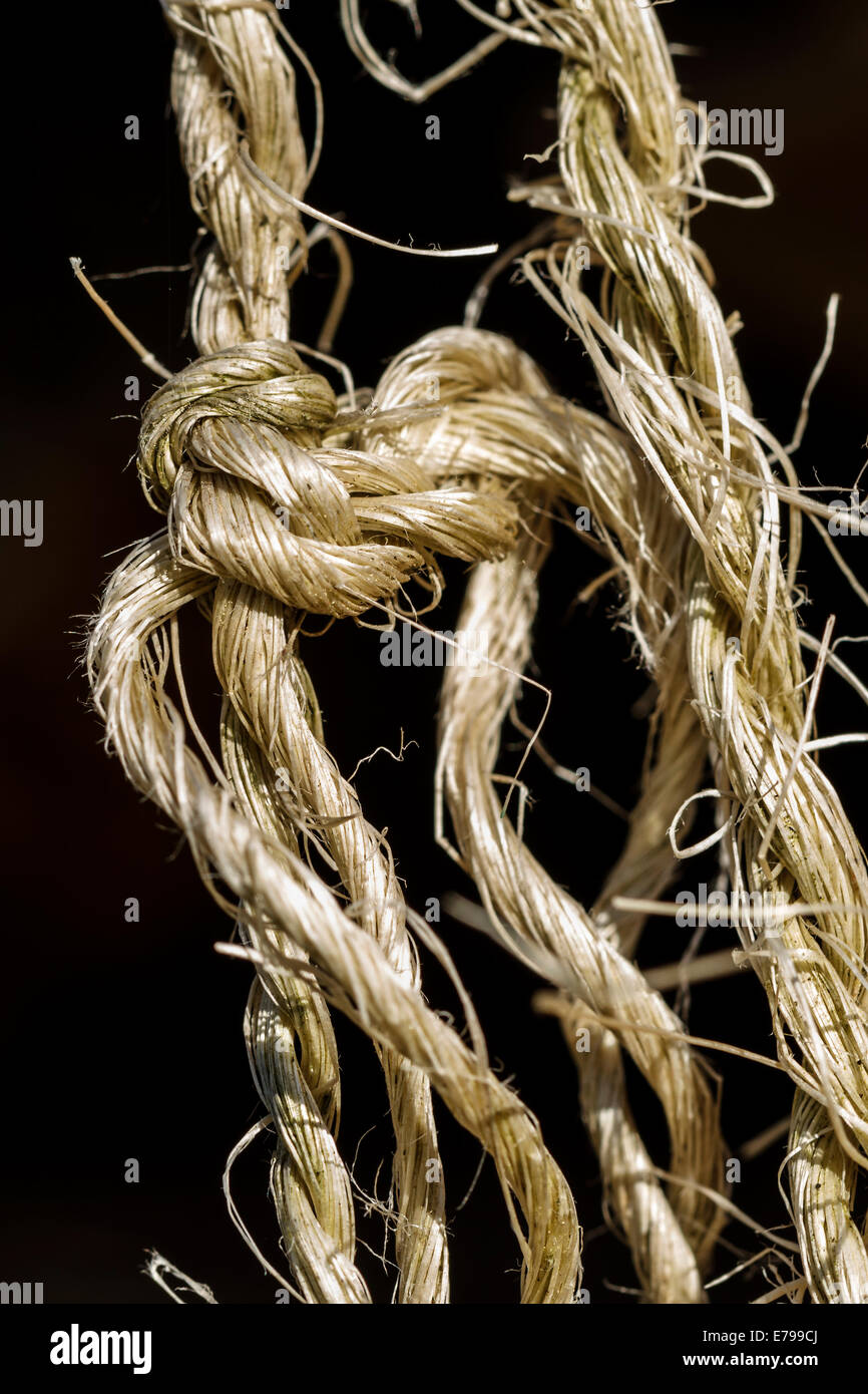 knot knots rope string Stock Photo Alamy