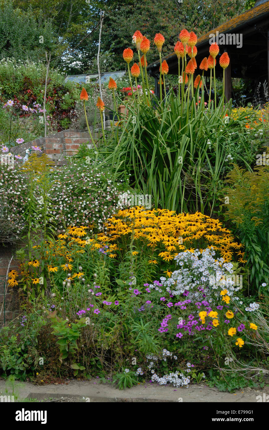 A beautiful herbaceous garden display UK Stock Photo
