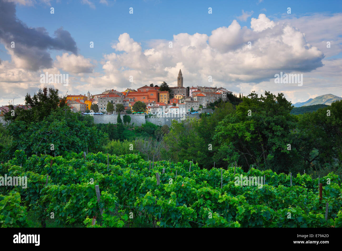 Labin old town on the hill in Istra, Croatia Stock Photo