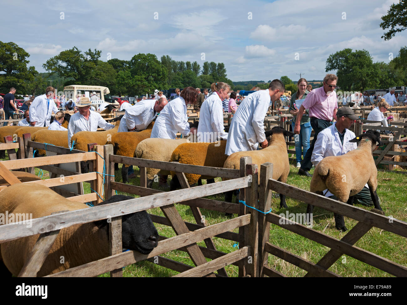 Farmers at Sheep judging at Ryedale Show in summer Kirkbymoorside North
