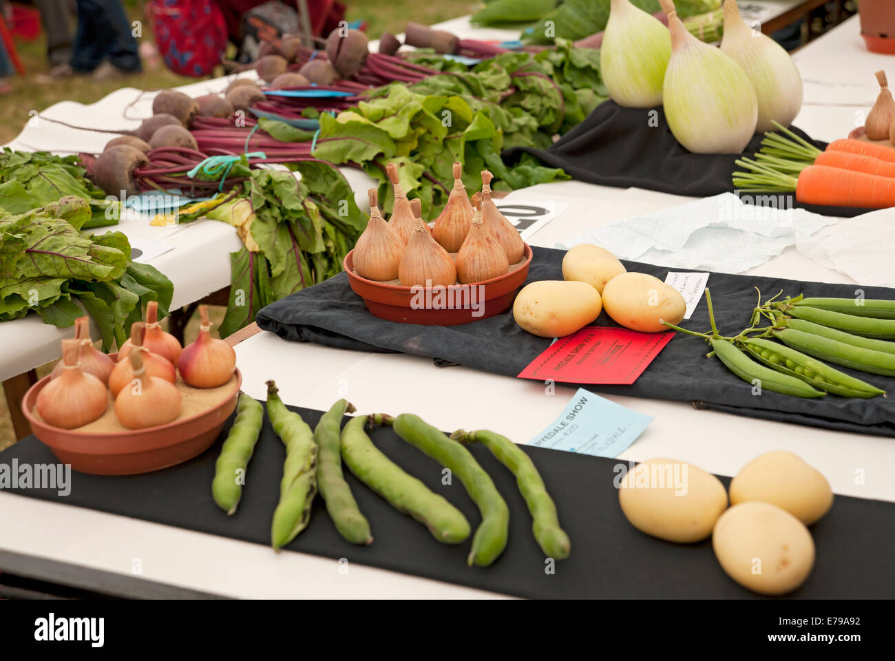 Vegetables on display in competition Ryedale Show near Kirkbymoorside