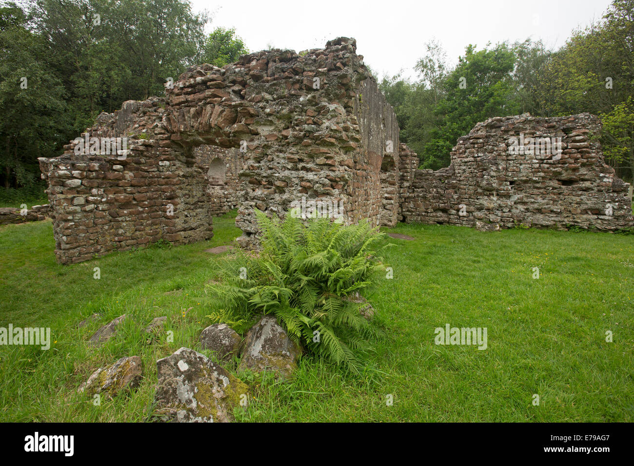 Stone walls, part of old Roman bath house ruins, surrounded by trees near town of Ravenglass, Cumbria, England Stock Photo