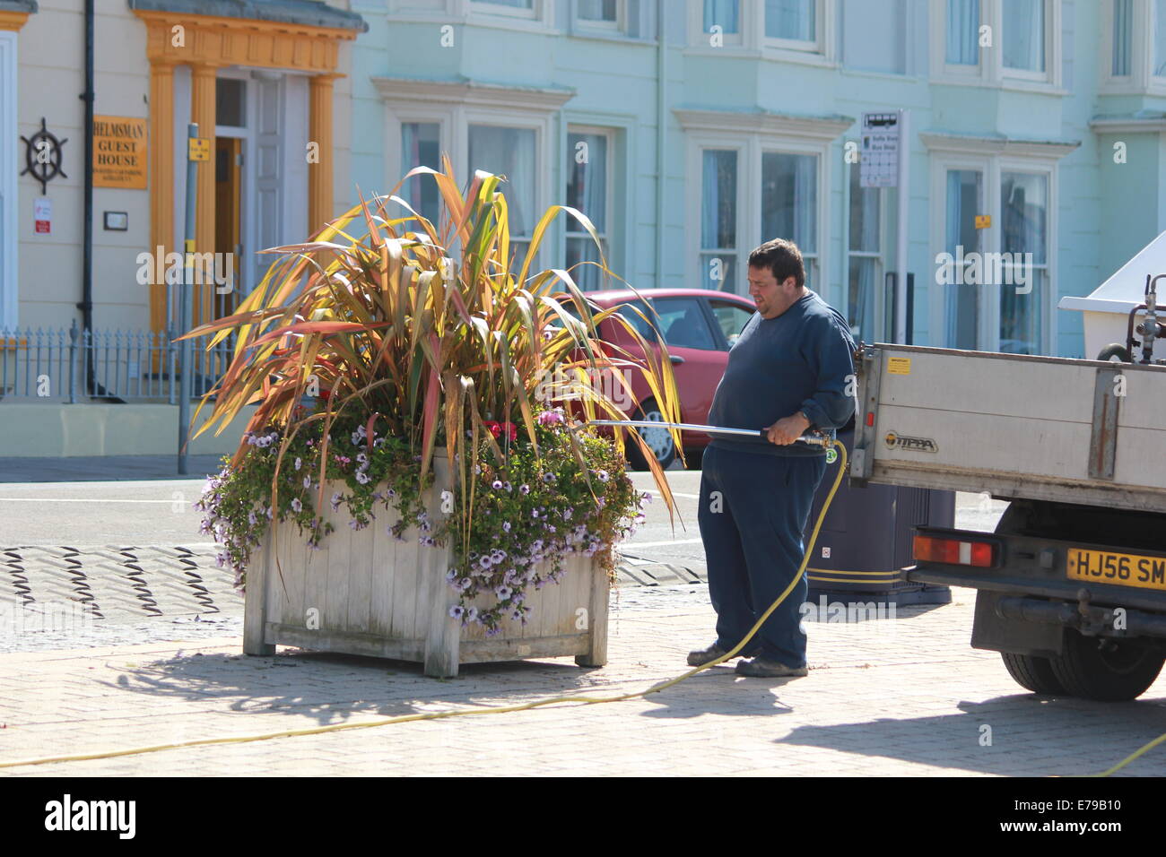 A gardener waters the seafront flower displays on Aberystwyth promenade Stock Photo