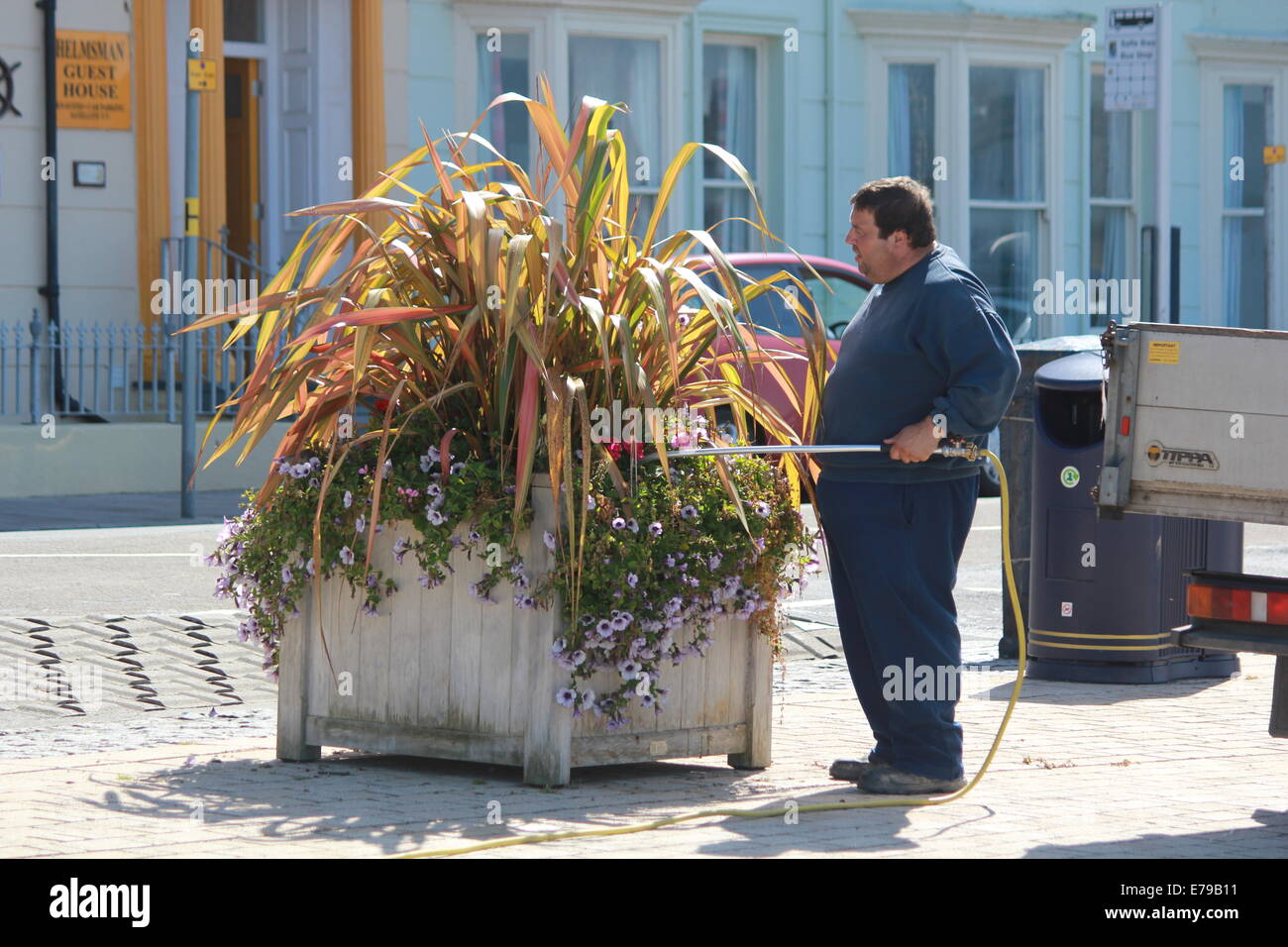A gardener waters the seafront flower displays on Aberystwyth promenade Stock Photo